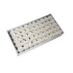 Artificial Flowers Box Of 50 Cream