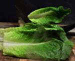 Salad Combo 150G Lettuce Herbs Veg And Flowers