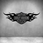 Harley Davidson 4 - Rust Coat L 1000 X H 330MM