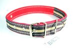 Collars Dog Web No 7 30MM X 64CM