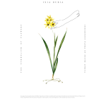 Symbolism 16 Art Print