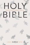 Catholic Bible: New Revised Standard Version: Nrsv Anglicized Edition With Apocrypha