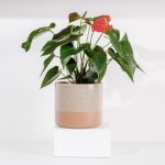 Ceramic Planter - Speckled Taupe - Medium 18 X 16.5CM