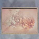 Blush Dreams 6 Art Print - A1 Framed Canvas With Natural Wood Frame