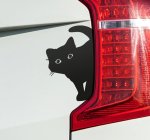 Curious Cat Car Sticker