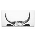 Horns Canvas