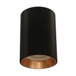 Polly Aluminium Downlight Black Gold Silver - Black & Silver Inner