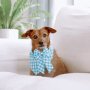 Under The Tuscan Sun ~ Dog Bandana - Large
