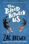 The Blood Between Us Paperback