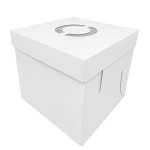 Cake Box & Lid 10 Inch