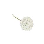 White Agapanthus 68CM
