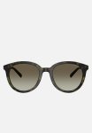 Big Bend - Olive Tortoise