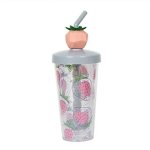 Double Layer Transparent Straw Cup