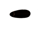 Rudder Cover Fiberglass