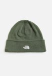 Norm Shallow Beanie - Green