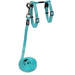 CAT Rogz Alley Control Xsmall Harness And Lead - Teal Waggs Online Pet Shop