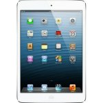 Ipad MINI