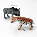 Wild Animals Assorted