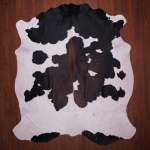 Bs Grade Nguni Hide 612 Tricolor XL - Medium Tricolor Panelled