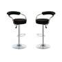Smte Succulent Black Bar Stools Set Of 2 With Keychain