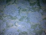 Two Tone Stretch Lace