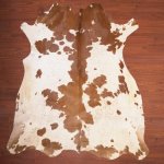 As Grade Nguni Hide 198 Brown white XL - Extra Large Brown white Spotted