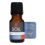 Aromatherapy Oil 10ML Eucalyptus