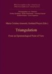 Triangulation - From An Epistemological Point Of View Hardcover