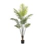 Palm Plant In Pot - 160CM Artificial