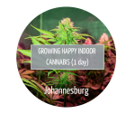 Growing Happy Indoor Cannabis - Johannesburg - 23 Mar 2024