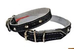 Dog Collars Leather pvc Moulded No 6 25MM X 60CM
