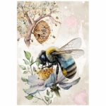 FSC1042 Kitchen Towel