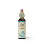 Beech 20ML