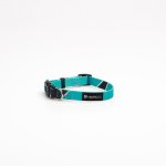 Duke Collar - Dog Collar - Small