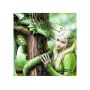 Diamond Painting Diy Kit Full Drill 40X40CM- Dragon Fairy/witch