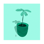 Fig Tree Art Print
