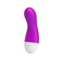 Baile Pretty Love Ian MINI Massager Ric Vibe