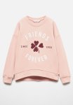 Sweatshirt Dublini - Pink