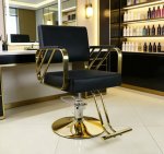 Professional Salon Hydraulic Styling Chair