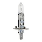 Globe Halogen H1 P14.5S 12V 55W Livestainable