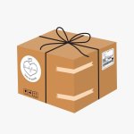 Surprise Box