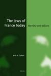 The Jews Of France Today - Identity And Values Hardcover