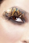 Multi Coloured Feather Eyelashes