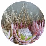 Floral Deep Pink King Protea Round Coaster