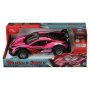 Thunder Racer Radio Control Car