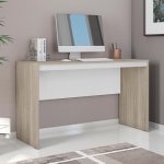 Start Up Office Desk