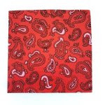 Serviettes Red Paisley - Factory Plaza