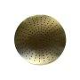 Trendy Taps Premium Quality Large Brushed Gold Shower Head