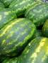 Watermelon All Sweet Seed - 10 G Raw Seed