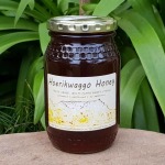 Raw Monofloral Honey Orange Blossom Hoerikwaggo Honey